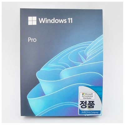 윈도우 11 프로 USB 설치 드라이브 (64비트) 预启动, 플러그 앤 플레이 OS for Business & Gaming,USB 3.0 지원