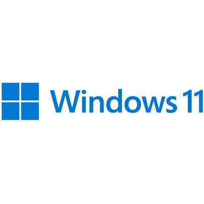 윈도우 11 프로 OEM 라이선스 키 X86 64 프로세서 타입 및 16 GB 디스크 공간 대용량 절약