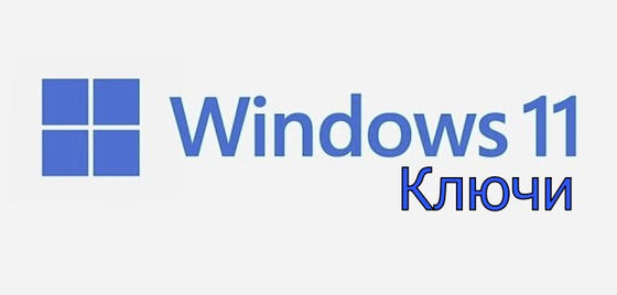마이크로소프트 윈도우 11 프로 OEM 러시아어판 게임용