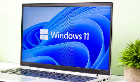 Windows 11 Pro OEM 영어 64비트 - 상시 디지털 라이선스로 비즈니스 기능