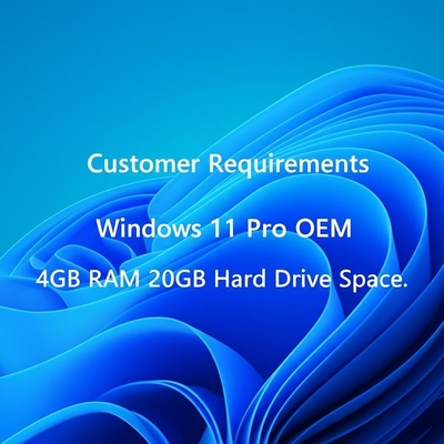 고객 요구 사항 Windows 11 Pro OEM 4GB RAM 20GB 하드 드라이브 공간