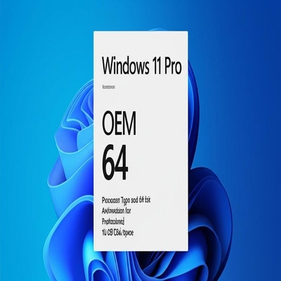 윈도우 11 프로 OEM X86 64 프로세서 타입 및 64비트 아키텍처 프로페셔널 16 GB 디스크 공간