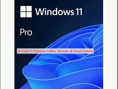 윈도우 11 엔터프라이즈 에디션, 비트 로커 및 가상 데스크톱