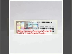 여러 언어 지원 Windows 10 Pro OEM 라이선스 영구 기간