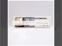 마이크로소프트 윈도우 11 프로페셔널 OEM 라이선스 키 글로벌 디지털 다운로드